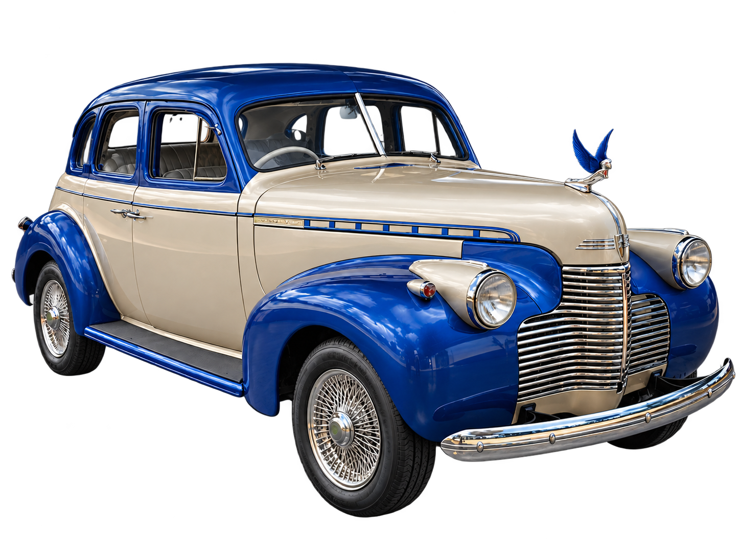 Nash Ambassador